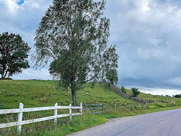 Ferienhaus für 9 Personen, mit Garten in Skane - 4