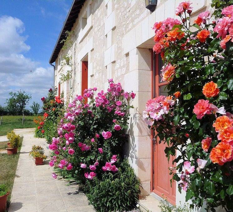 La Cotterie - Chambre Pivoines in Saint-Senoch, Région de Loches