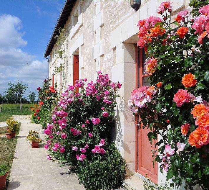 Chambre d’hôte pour 2 personnes, avec jardin dans Centre-Val de Loire - 2