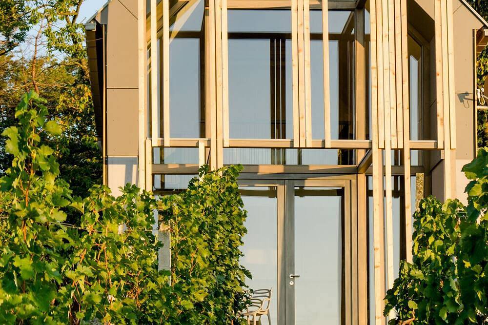 Weinlofts.At – Weinloft Ii – Architektur am Weinberg in Eisenberg an der Pinka, Südburgenland