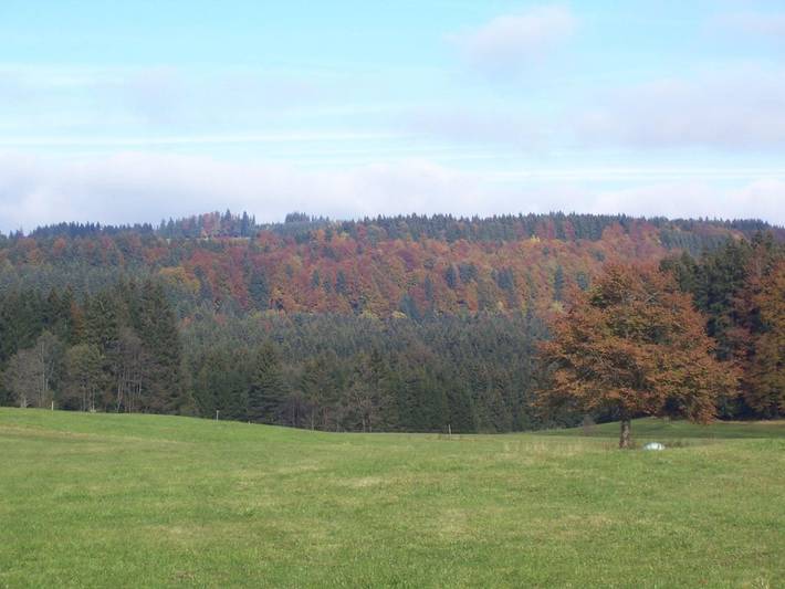 Ferienwohnung für 2 Personen, mit Balkon in Bad Bayersoien - 3
