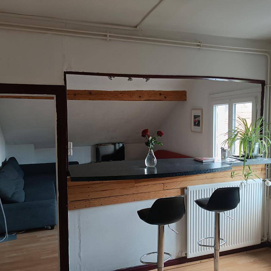 Appartement entier, Sous Les Toits Arverne in Chamalières, Parc naturel régional des Volcans d'Auvergne