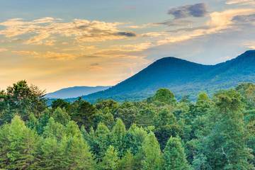 Glamping for 2 Guests in Blue Ridge Mountains, Chattahoochee National Forest, Picture 2