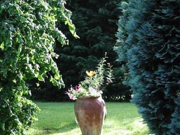 Ferienpark für 2 Personen in Schönecken, Rheinland-Pfalz, Bild 3