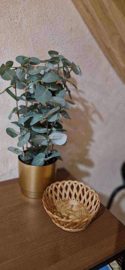 Location de vacances pour 4 personnes à Caraman - 2