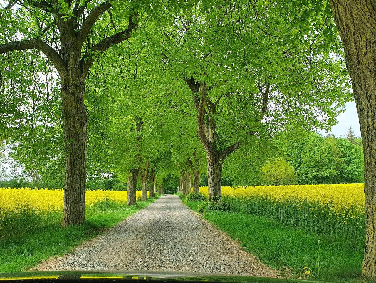 Ganze Ferienwohnung, Hof Taterborn - Fewo Hof Taterborn in Wensin, Südliche Ostseeküste