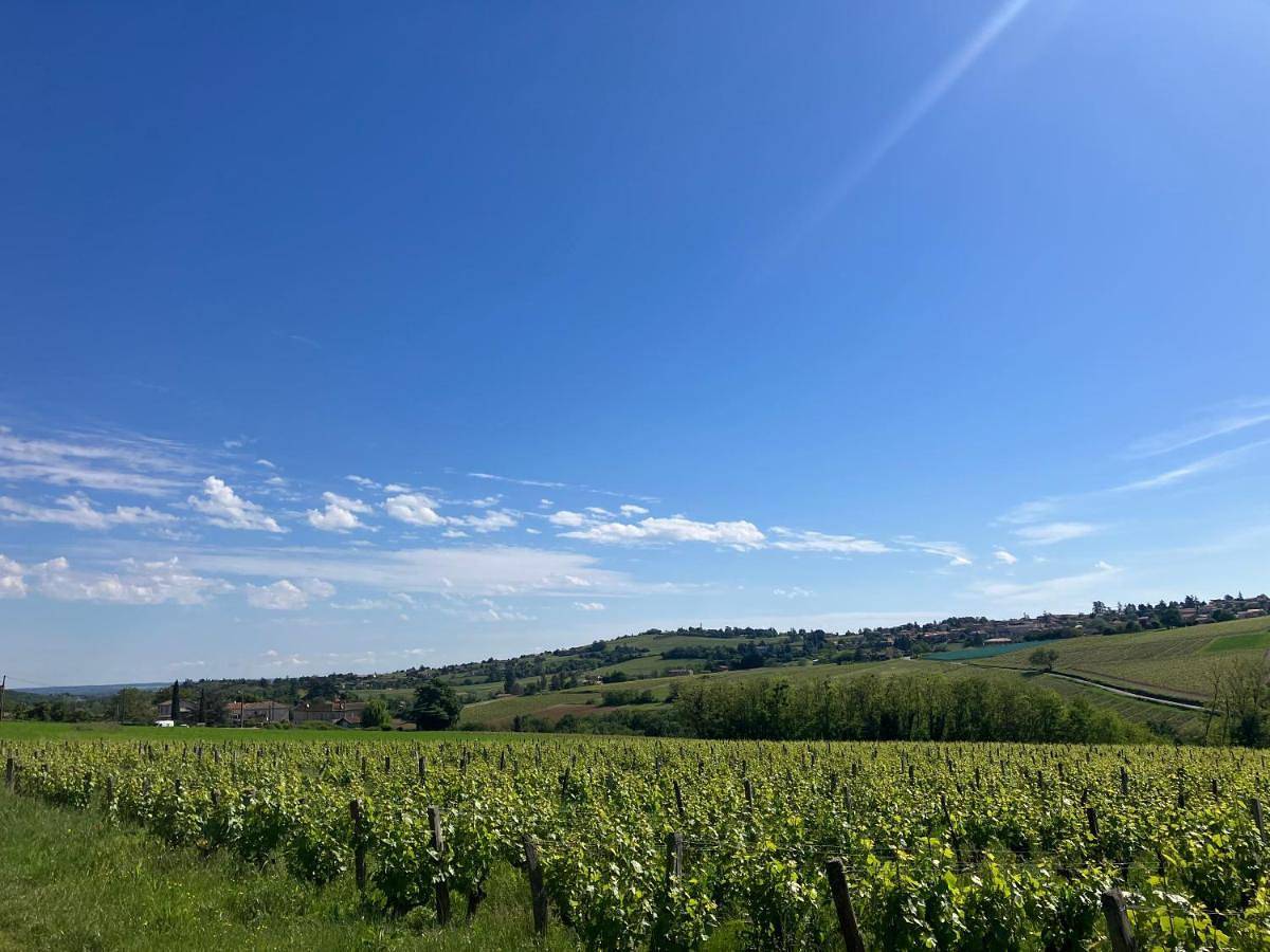 Appartement entier, One-Bedroom Apartment in Pommiers, Beaujolais