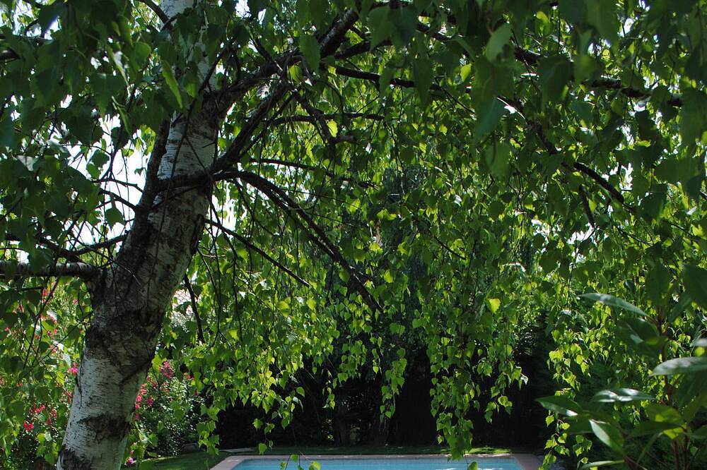 Charmante Herbergen mit Pool in der Provence in Vaison-la-Romaine, Parc naturel régional du Mont-Ventoux