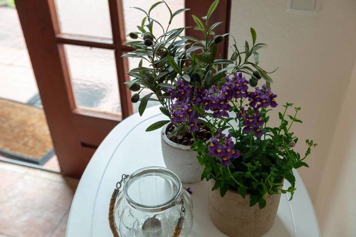 Ferienwohnung für 6 Personen, mit Garten und Ausblick, mit Haustier in Tümlauer Koog - 4