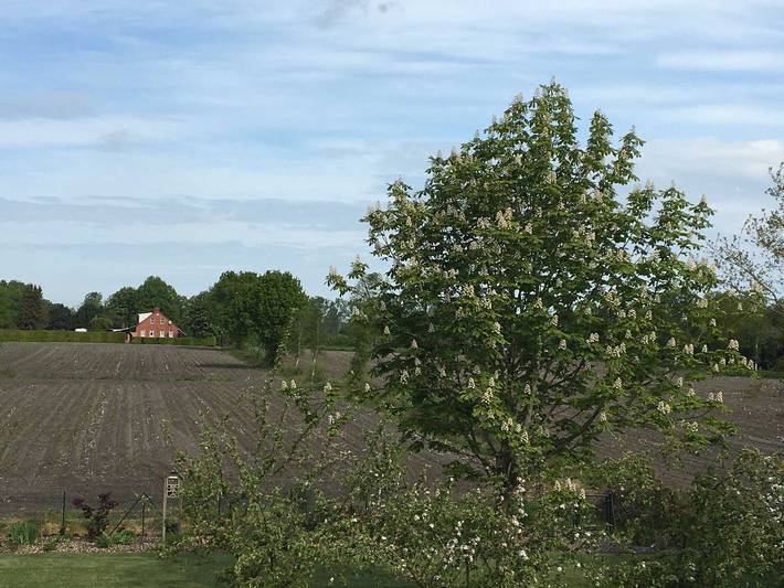Ganze Ferienwohnung, Ferienwohnung Haus Bikker - Ferienwohnung 2 in Ihlow, Landkreis Aurich