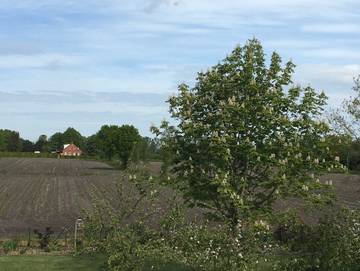 Ferienwohnung für 4 Personen in Ihlow, Landkreis Aurich, Bild 4