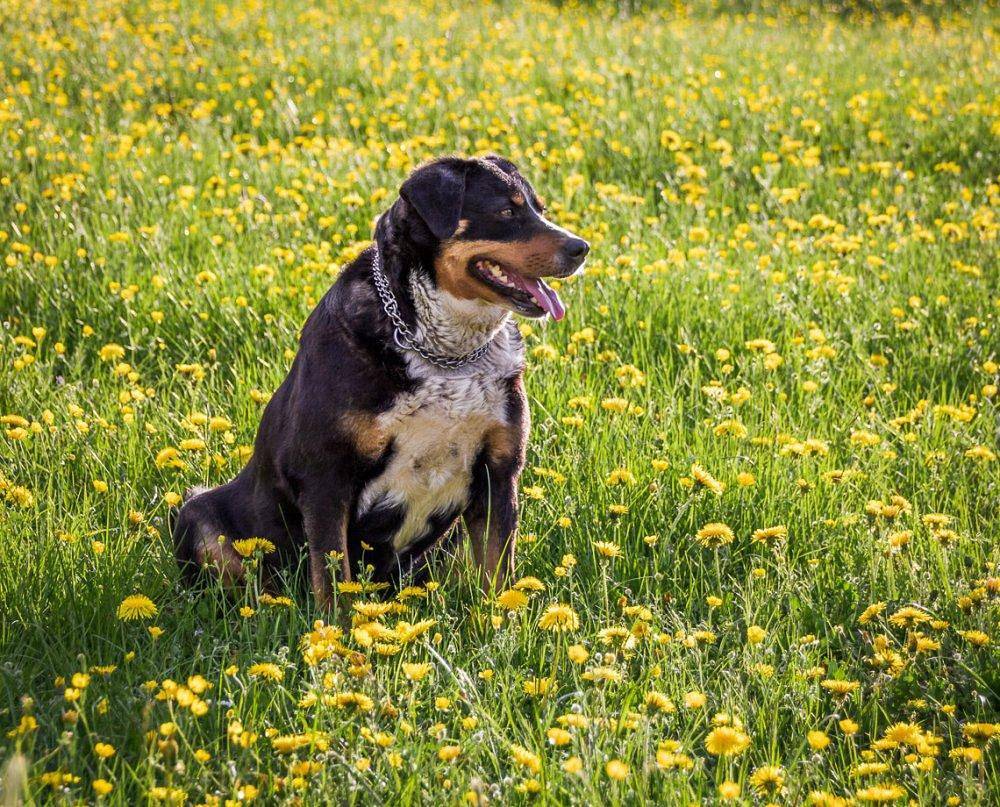 Ganze Ferienwohnung, Ferienhofer - Ferienwohnung Holzstube, 30qm, 1 Wohn-/Schlafzimmer, max. 2 Personen in Abtsgmünd, Erlebnisregion Ostalb region