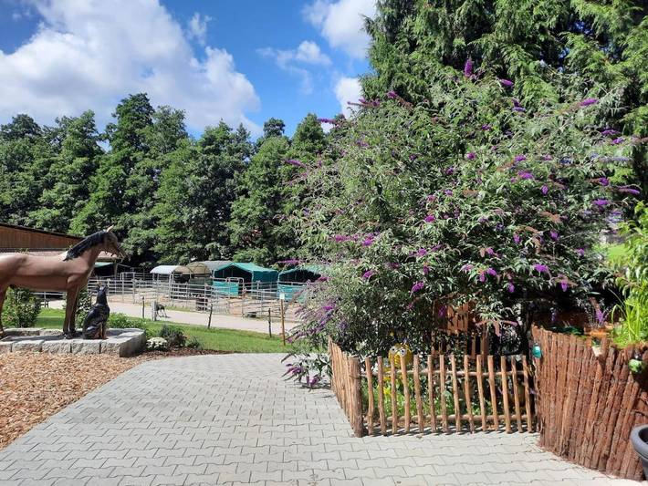 Ferienhaus für 5 Personen, mit Ausblick und Terrasse, mit Haustier an der Bergstraße - 3