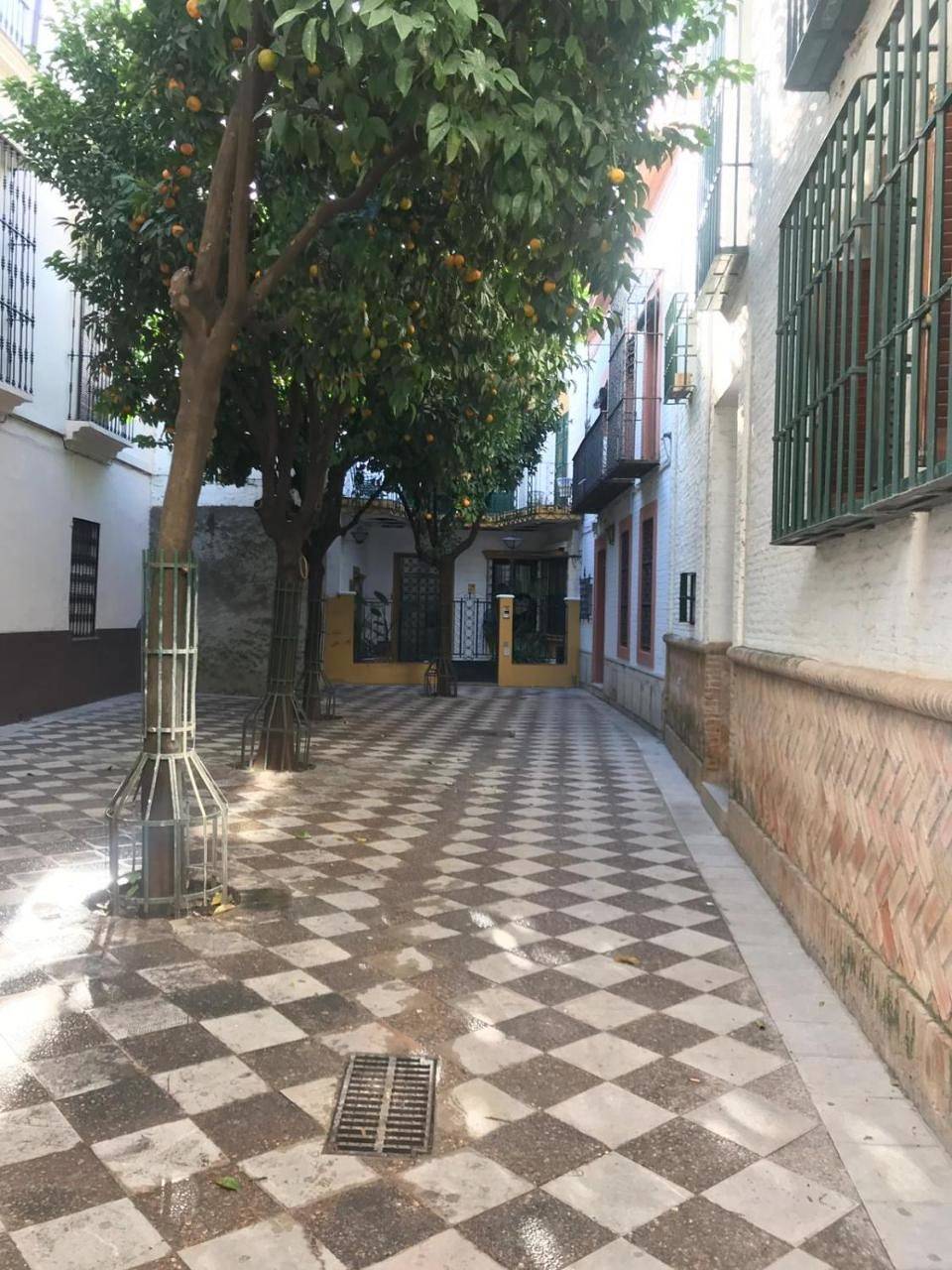Apartamentos Flamenco B&B in Cerro-Amate, Séville