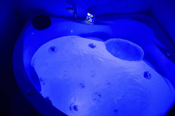 Gîte pour 3 personnes, avec jacuzzi et jardin à Quincy-Voisins - 3