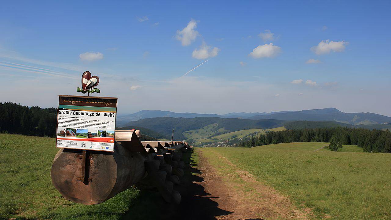 Ganze Ferienwohnung, Ferienwohnung für 4 Personen (60 m²) in Todtnau in Suedlicher Schwarzwald, Todtnau