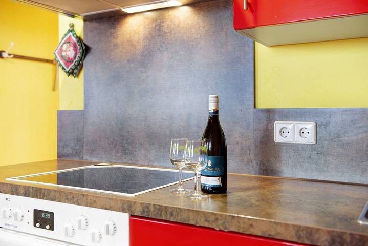 Gîte pour 6 personnes, avec jardin, animaux acceptés à Immenstaad am Bodensee - 4