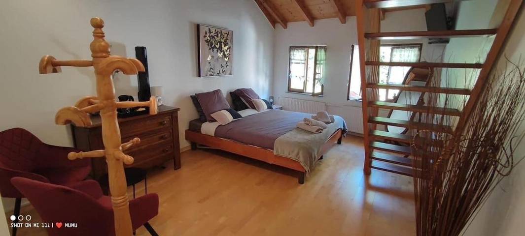 Location de vacances pour 3 personnes, avec jacuzzi ainsi que jardin et piscine à Mélisey - 3