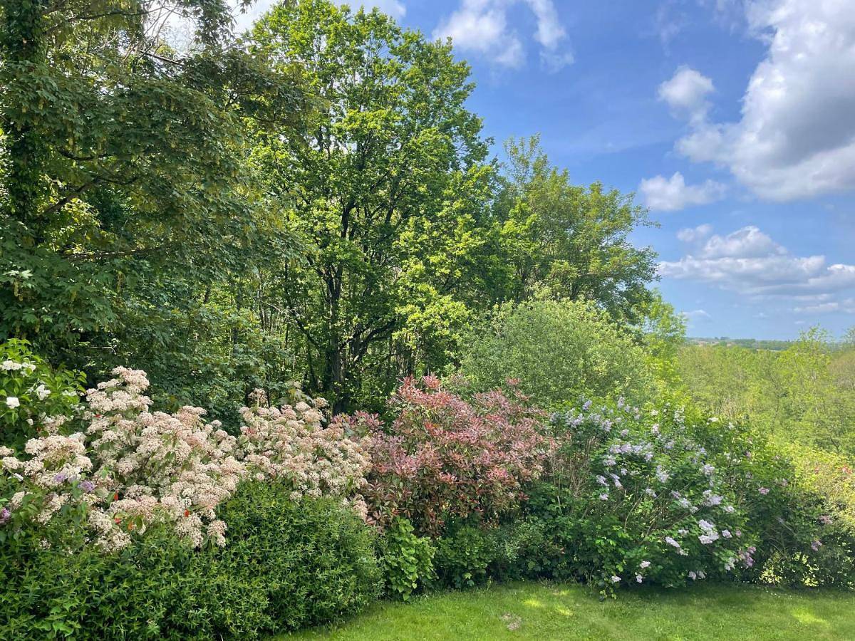 Appartement entier, La Canopée des Arbres, Juliette in Ellezelles, Hainaut
