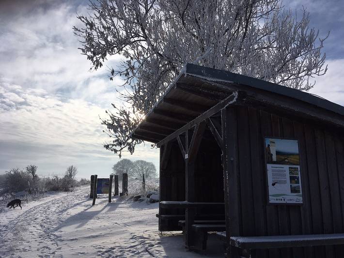 Ganze Wohnung, Rhöner Sternenhimmel - Ferienwohnung 2 mir kostenfreiem Wlan in Frankenheim (Rhön), Biosphärenreservat Rhön