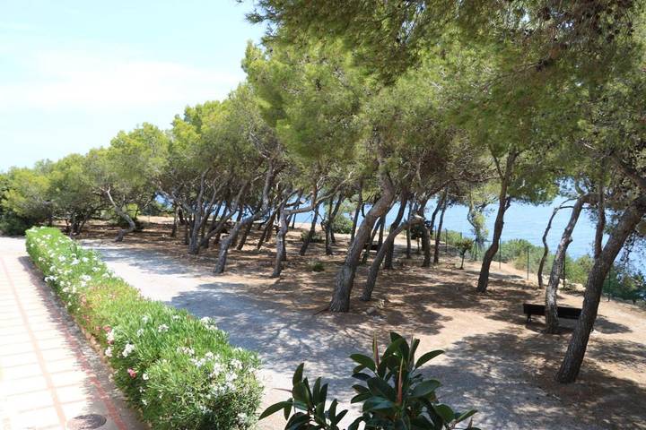 Station pour 5 personnes, avec jardin et piscine à Cala Llenya - 4