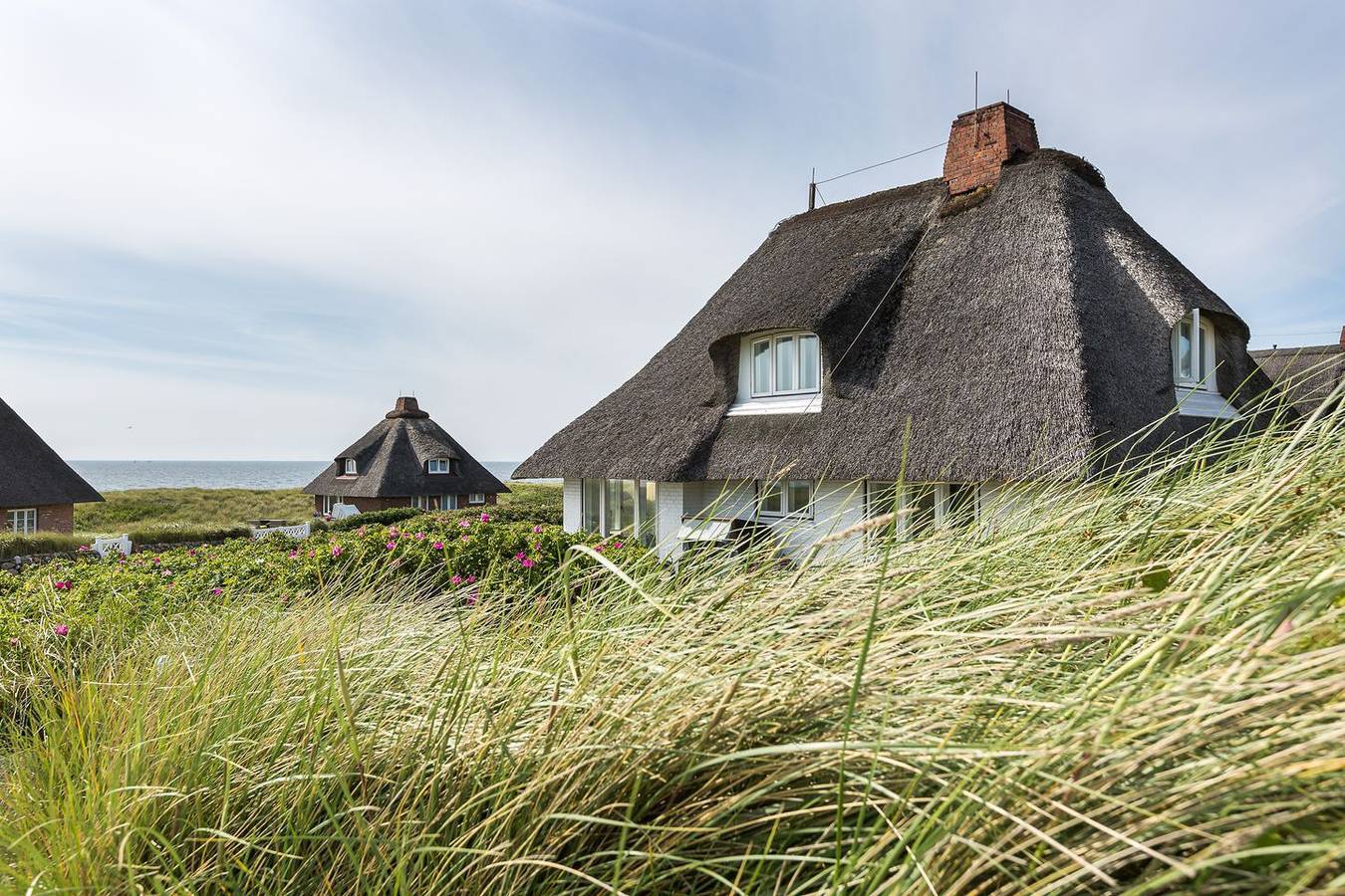 Viel mehr "Sylt pur" als im Sturmnest können Sie inselweit nicht finden. in Hörnum, Sylt