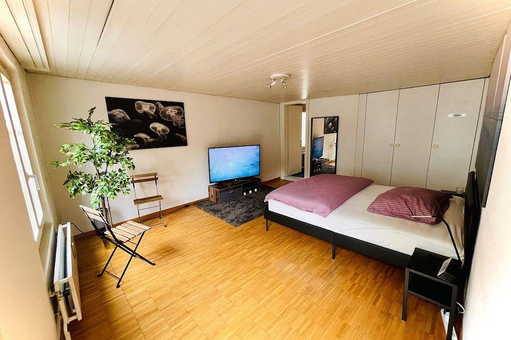 Entire apartment, Newly furnished beautiful old building apartment in the center with Apple Tv O1 in St. Gallen, Lake Constance (Switzerland)