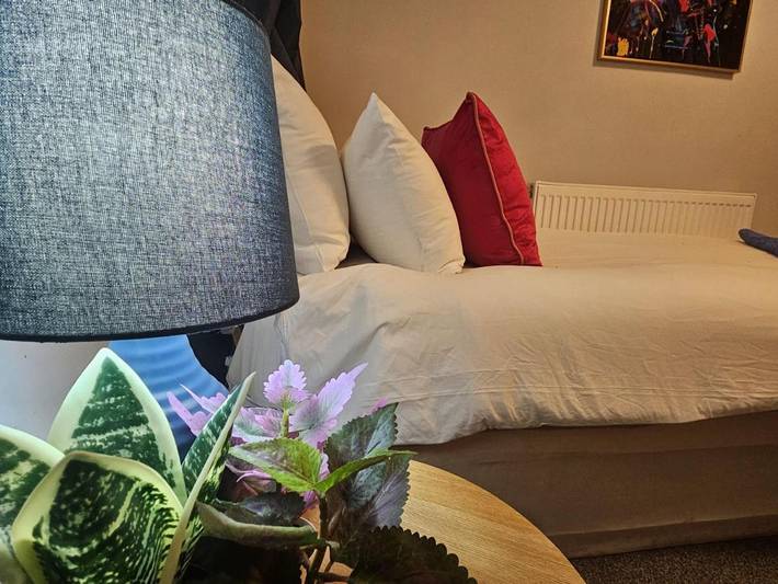 Holiday home for 12 people, with terrace and garden - 1