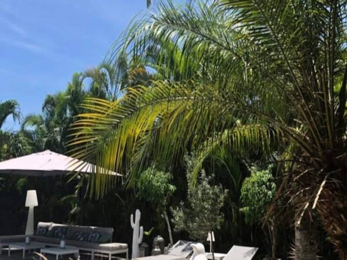 Gîte pour 6 personnes, avec piscine et jardin à Baie-Mahault - 3