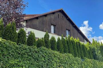 Gîte pour 10 personnes, avec jardin dans Cinema Grand Ecran La Bresse
