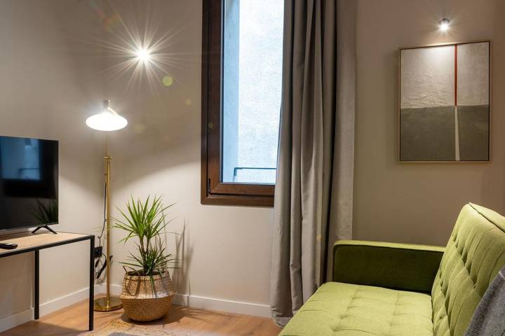 Gîte pour 6 personnes, avec balcon, animaux acceptés à Sant Joan de les Abadesses - 3