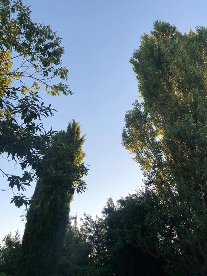 Maison de vacances pour 7 personnes, avec vue et jardin, animaux acceptés - 1