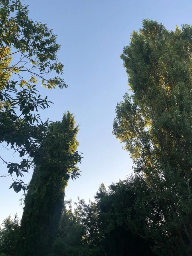 Ferienhaus für 7 Personen, mit Ausblick und Garten, mit Haustier - 1
