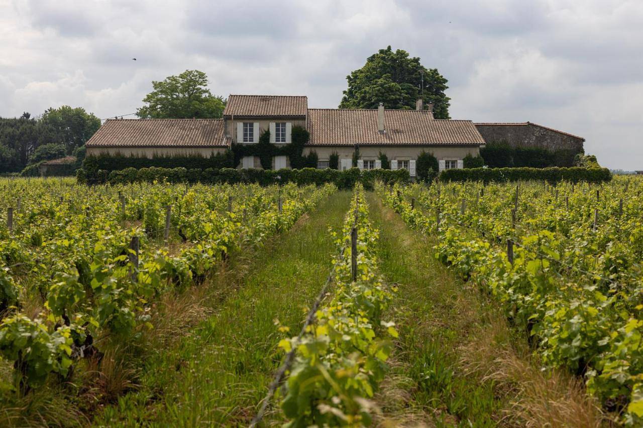 King Room with Garden View in Barsac, Région de Langon