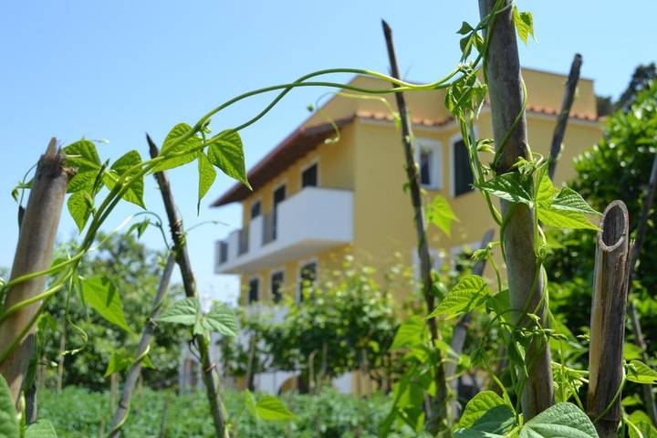BnB für 2 Personen, mit Garten und Terrasse auf Ischia - 4