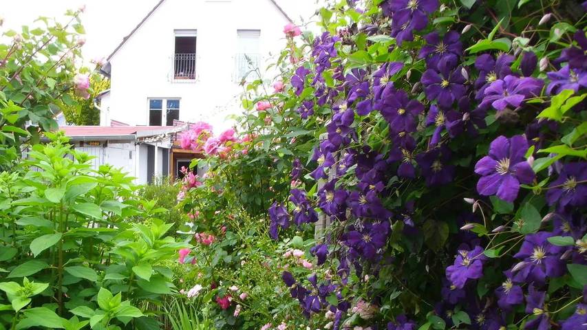 Ferienwohnung für 2 Personen, mit Terrasse in Marburg - 3