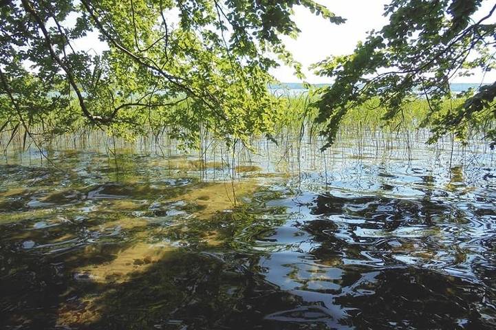 Ferienwohnung für 6 Personen, mit Garten und Terrasse in Alt Schwerin