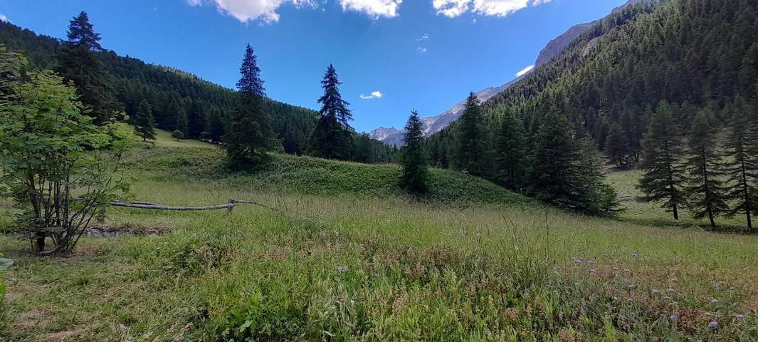 Maison de campagne pour 4 personnes, avec vue, animaux acceptés à Villar-Saint-Pancrace
