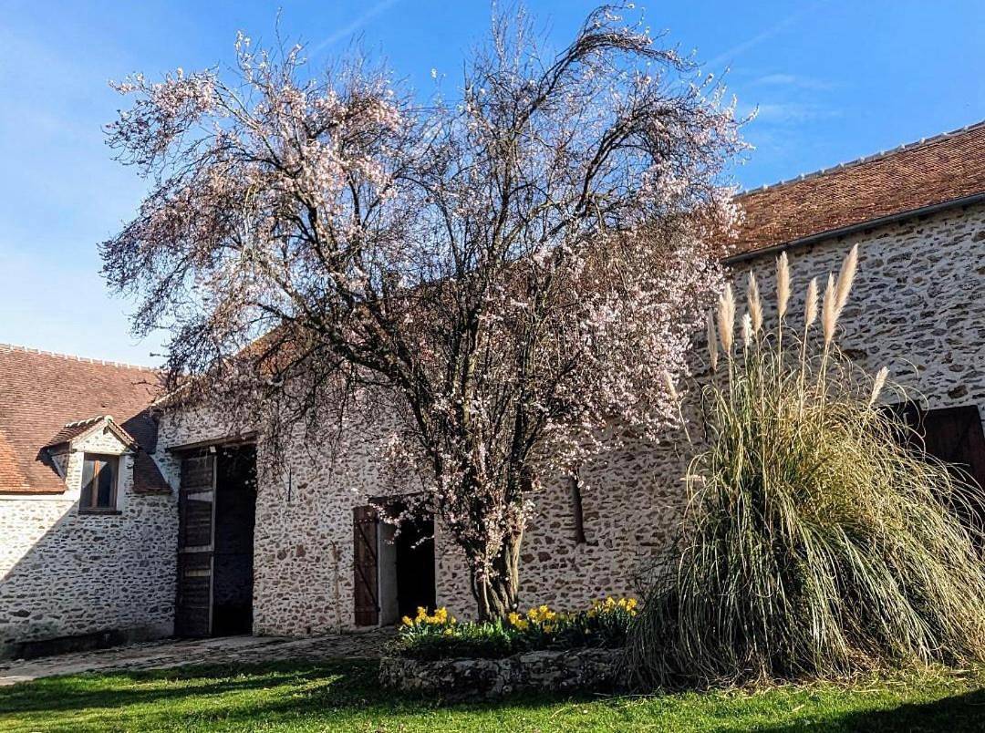 Double Room with Private Bathroom in Courpalay, Seine-et-Marne