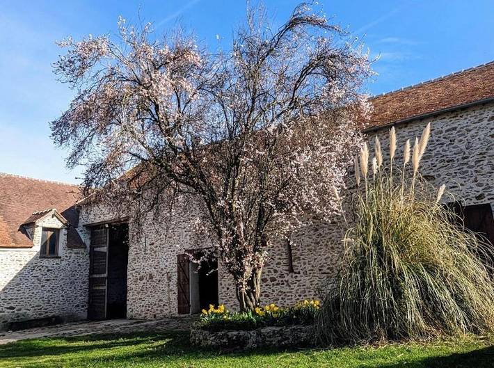 Chambre d’hôte pour 5 personnes, avec vue ainsi que terrasse et jardin dans Seine-et-Marne - 3