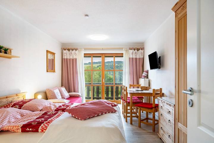 Studio für 3 Personen, mit Balkon in Dreiländereck (D-A-CZ)
