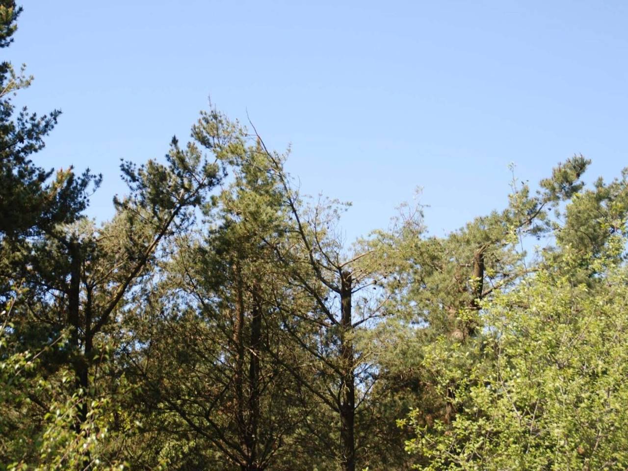 6 Personen Ferienhaus in Oksbøl in Jegum, Jegum Ferieland