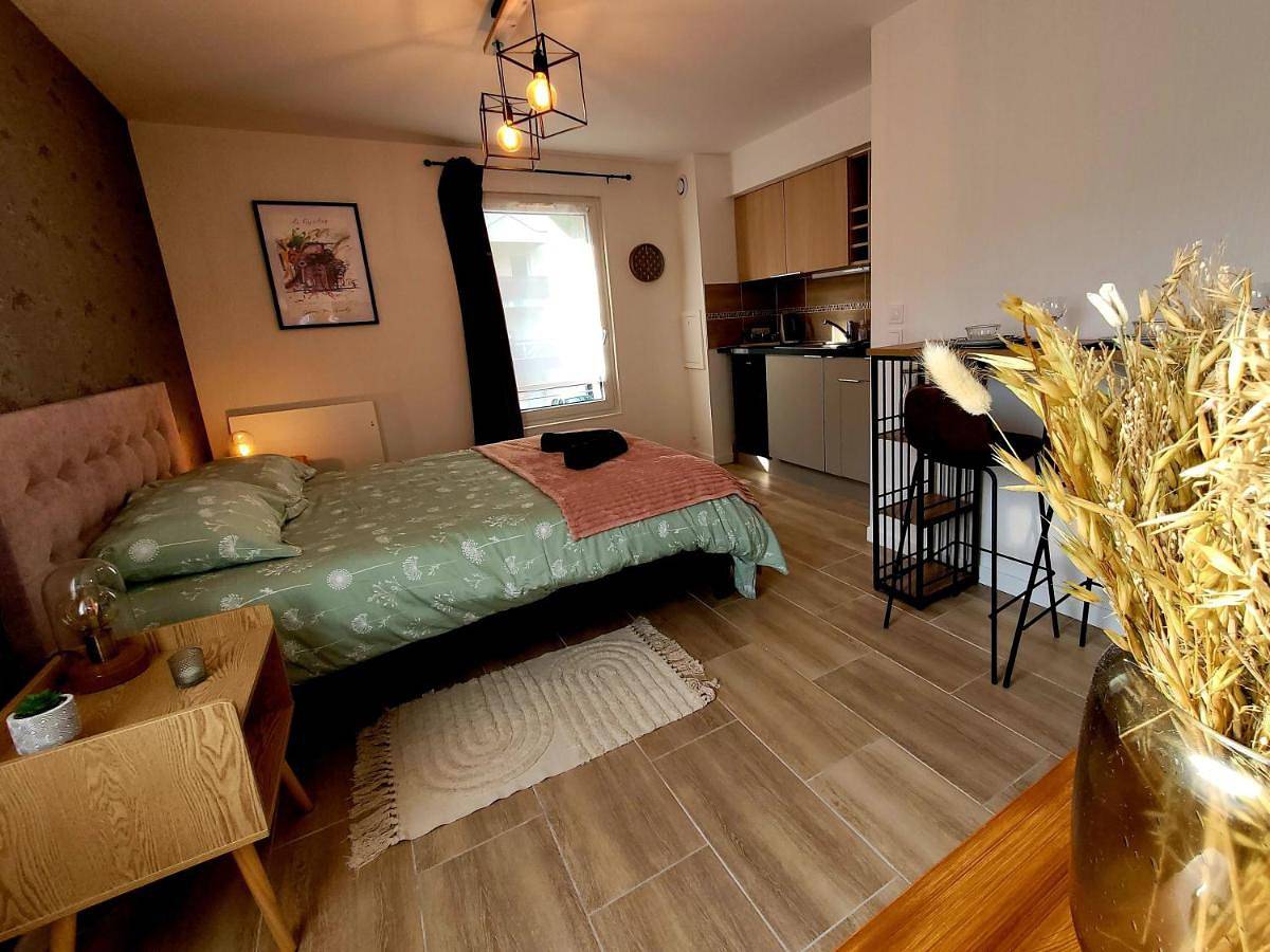 Appartement entier, L' Écrin de Jade in Melun, Seine-et-Marne