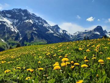 Ferienwohnung für 8 Personen in Schröcken, Arlberg, Bild 2