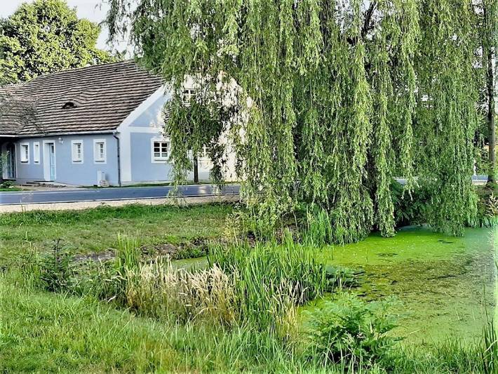 Ganze Ferienwohnung, Alte Schmiede Reichwalde - Ferienwohnung 1 in Boxberg (Oberlausitz), Lausitzer Seenland