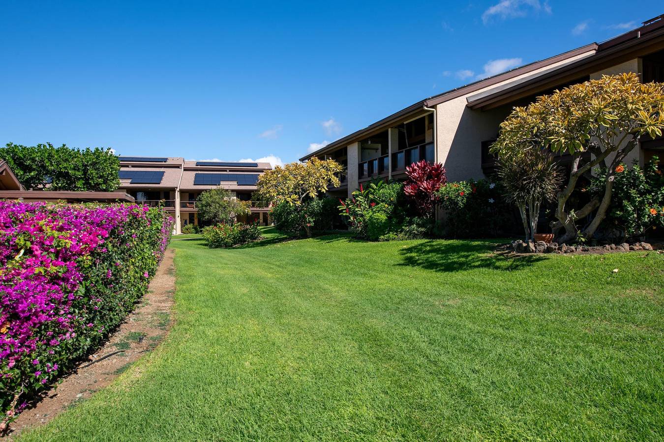 Entire apartment, Hale Polū in Waikoloa Village in Waikoloa Village, Kohala