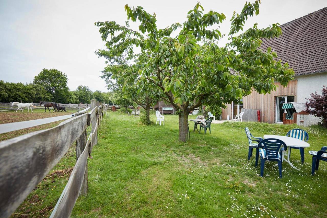 Appartement entier, Reiterhof Zwei Linden in Melle, Région d'Osnabrück