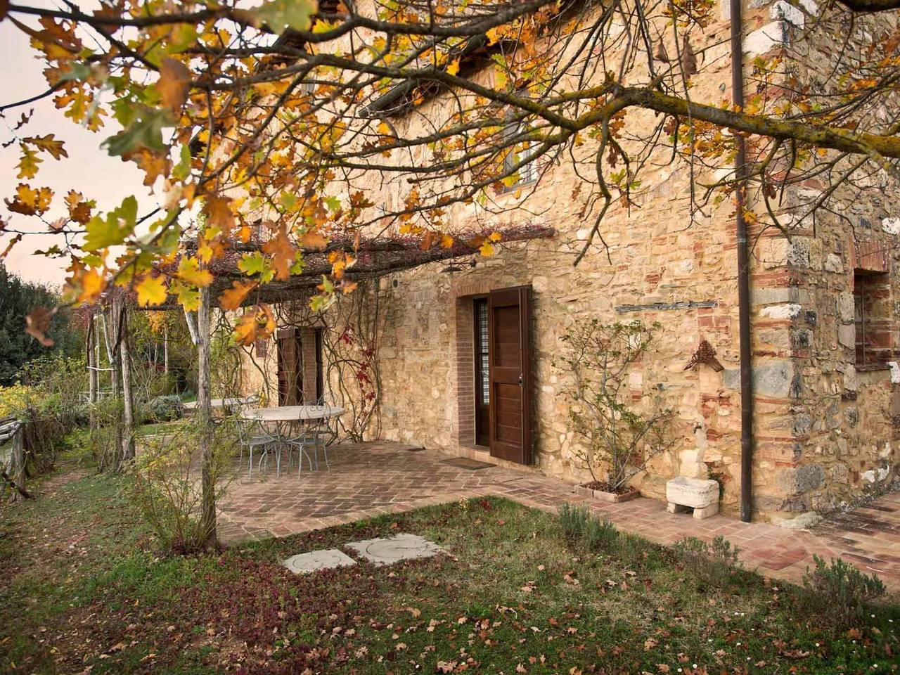 Fringuello c/o Le Mascie in Casole d'Elsa, Siena e dintorni
