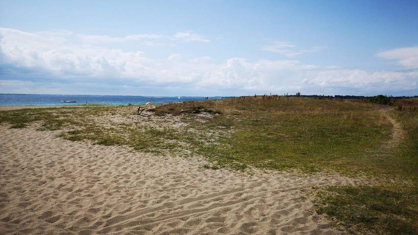 Ferienhaus für 5 Personen, mit Garten in Kelstrup Strand - 4