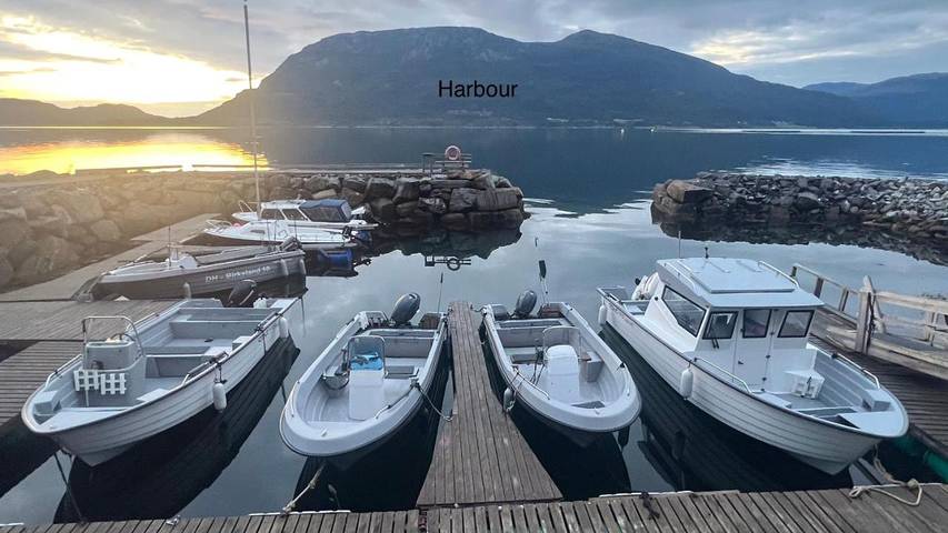 Ferienwohnung für 5 Personen, mit Terrasse und Garten sowie Ausblick in Vestnes - 4